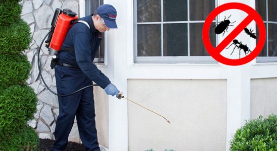Kepsut Böcek ve Haşere İlaçlama böcek ilaçlama ve haşere kontrolü — ilaclama-tr.com